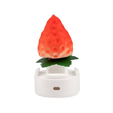 Strawberry Flavored Icecream